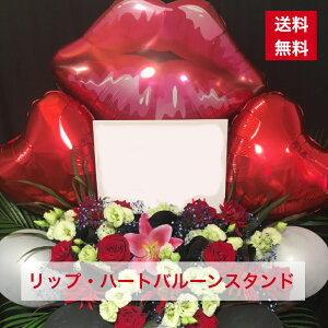 y23z bvEO En[g o[X^h  C ܂ JXj ړ]j a aj o[Xf[   IV tX^ X^t X^ht