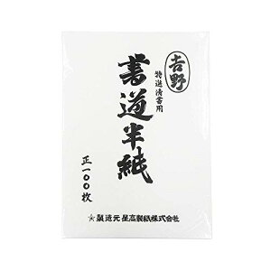 GqH Ip g HAN-YO100P 100