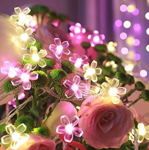 SITEDAN XgOCg \[[ C~l[VCg  7M50d 2gv100 sNEH[zCg LED O K[fCg 8[h h NX}XCg 胉Cg