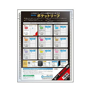 RNg tB  |Pbg[t A4 1|Pbg 301i 10 S-410