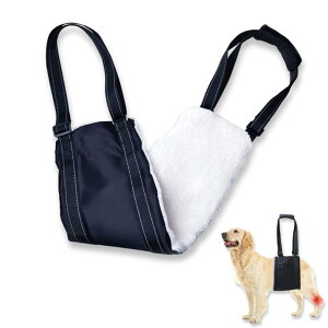 Anfua  s⏕n[lX ybg ̗p V   p nr aC s⏕  y ʋC RۏL EȒP ̎キȂV T|[g [ܕt (^M)