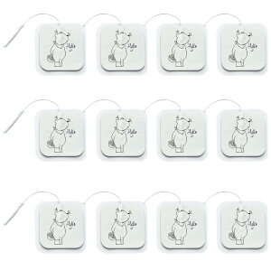 EMSpSpbh ems gp Spbh [12] pbh ems ݊Qpbh {Q̗p p^ 5*5cm MTCY