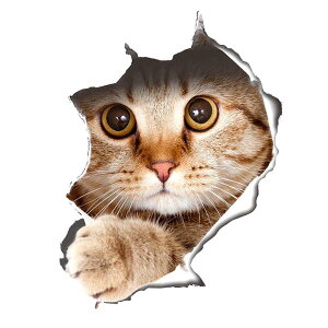 ?3 D 킢  [ou oX[ gC ȃEH[ XebJ[ǎ L