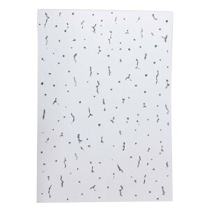 qTS VV[ Wvg[ A4(210X297mm) V C B OP5000 1V[g