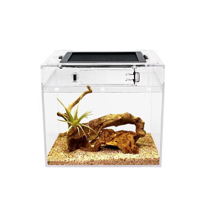 Reptile Growth |J[{l[g ^঒ P[W  ঒ރP[W e p JT ^N ޗpP[X {bNX 20x20x20cm, JANAJGAQbRAJ}LA