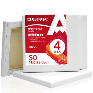 AUREUO LoX Zbg S0 (18cmX18cm)  100Rbg 4 S Gp |pGn G p ʉEGEANp
