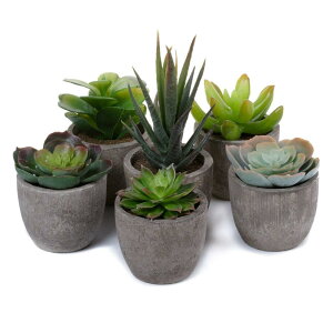 T4U tFCNO[ ϗtA lHϗtA lHA  CeA 6_ bsv v[g