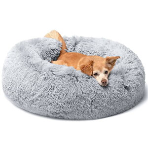  xbh L xbh NbV ObY - Eh^ ӂ OYANTEN ی^ h[icӂӂ  薰 􂦂 ʔN R[M[/Č/^pi(75cm, CgO[)