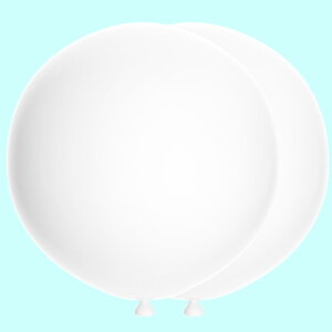 ȃo[ 36C`~`D 7傫ČbeNXo[ ƒãfR[V p[eB[̑^̕D