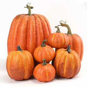 Haodeliy nEB 7PCS ڂ ܂ŎlTCYgݍ킹 ڂ V~[VpvL u I[ig nEBɏt