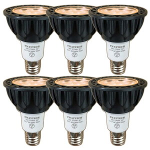 FWAYTECH LEDX|bgCg E17  5W nQd40W`50W p30x _Ng[LEDX|bgCg Ή (2700KdF, E17  ({̍) 6)