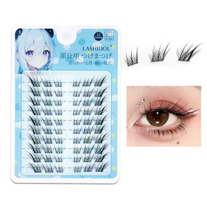 LASHIDOL ��e�� �������܂� �������� �t���܂� ���� ���܂� ���� ���܂� �i�`������ �ڐK ���܂� �o���Ȃ����܂� �ς̂悤�ȖڐK�p���܂сi10rows-SuDaji�j