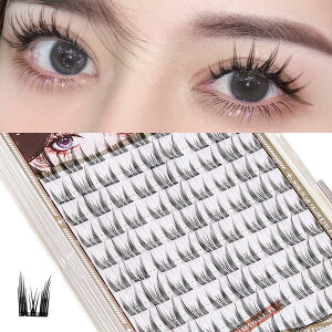 Ainubio ܂ e i` |CgtBbgACbV ܂GNXe ܂ ܂  D S ܂p (SweetCat)