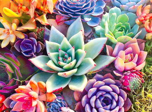 LEADINTOP _ChA[g Zbg A  40X30cm UCNA[g Sʓ\t _Chh _CAhr[Y lC r[YA[g r[YG 킢  l q DIY 