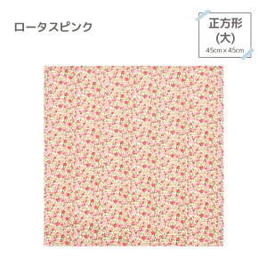 kukka hH 唻 `}bg `60×40 `45×45 wZ ct ` ٓ `nJ` `NX ̎q ԕ ԕ sN O[ CG[킢 ۈ牀 
