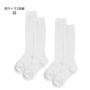 u҂ nC\bNX2g Ђ G    { C q XN[\bNX I[V[Y j̎q ̎q  w w   Zj[ 13 14 15 16 17 18 19 20 21 22 23 24cm