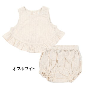 Z[ILa Stella [X`jbNSET xr[ gh[ q ̎q ㉺ZbggbvX [X t `jbN pc n t  sN zCg i` LbY oYj Mtg 