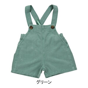 Z[ILa Stella l[V[gTybg gh[ xr[ q ̎q j̎q I[o[I[ Ȃ n t  uE O[ Li i` V LbY  