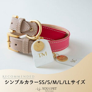 yVvJ[zIV  JCC 킢  O l[  uh ^ ^ v {v  { z v S y   CΉ W y Jt