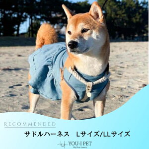 yThn[lXL/LLTCYzn[lX   IV  lC  킢  JCC  O qD uh Ȃ U[{v { А i 