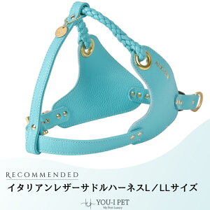 yC^AU[Thn[lXL/LLTCYzn[lX   lC  킢   O qD uh Ȃ U[{v { А i ^p 