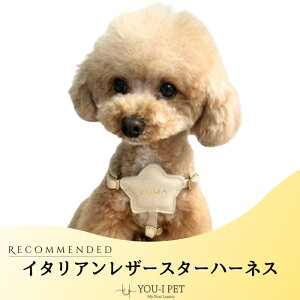 yC^AU[X^[n[lXzn[lX   lC  킢   O qD Ȃ U[{v { А SSTCYFF30cm`38cm@STC