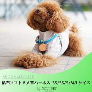 yz\tgkvn[lXzn[lX   IV  lC  킢  JCC  O qD uh Ȃ U[{v { А ^