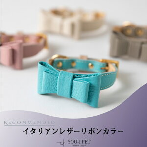 yC^AU[{J[z@킢  O uh ^ ^ v {v  { v S y  CΉ W y { C^AU[