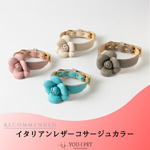 yC^AU[RT[WJ[zIV  JCC 킢 uh ^ ^ v {v  { v S y   CΉ y Jt RT[W