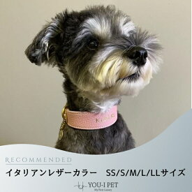 【イタリアンレザーカラー】オシャレ おしゃれ カワイイ かわいい 名入れ 名前 ネーム 刻印 ブランド 小型犬 中型犬 革 本革 皮 本皮 帆布 丈夫 安全 軽い 高見え 国内製造 修理対応 係留 軽量 カラフル イタリアンレザ