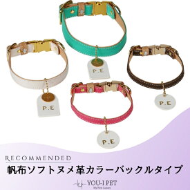 【帆布ソフトヌメ革カラーバックルタイプ】オシャレ おしゃれ カワイイ かわいい 名入れ 名前 ネーム 刻印 ブランド 小型犬 中型犬 革 本革 皮 本皮 帆布 丈夫 安全 軽い 高見え 国内製造 修理対応 係留 軽量 カラフル