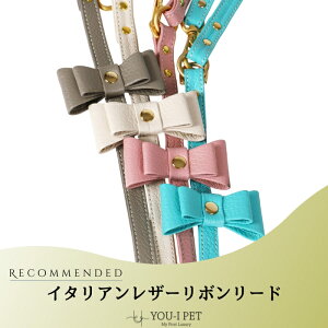 yC^AU[{[hzIV uh ^ ^ v {v  { v S y   CΉ W y Jt { C^AU[