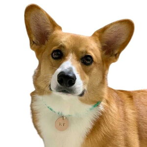 |Cg10{}\ԁy^E^pzANZT[CjV^Otz ^ ^ ANZT[  v {v z ҂ o UObY `[ qD  lbN