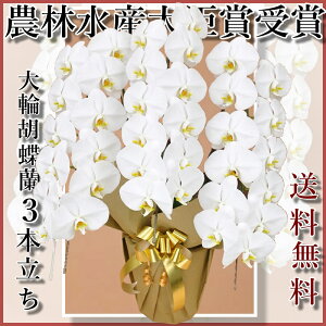 Ӓ3{EӒ(R`E)Ӓ3{/JXj/җj/jEӒ 3{/Ӓ /jԁEJXjEjԁEԁE yEӒzӒ 