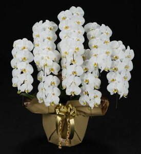 Ӓ8{EӒ(R`E)Ӓ8{/JXj/җj/jEӒ 8{/Ӓ /jԁEJXjEjԁEԁE yEӒzӒ 