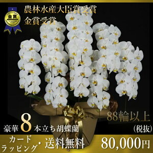 Ӓ8{EӒ(R`E)Ӓ8{/JXj/җj/jEӒ 8{/Ӓ /jԁEJXjEjԁEԁE yEӒzӒ 