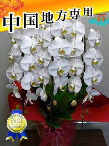 Ӓ3{33ֈȏ@Q܂ށ@n@L@R@@@R