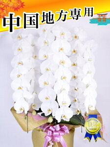 v~AӒ3{42ց`47ց@Q܂ށ@n@L@R@@@R