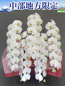 Ӓ5{70ֈȏ@Q܂ށ@n@@VCxRCΐ쌧C䌧C򕌌C쌧CRCÉCm