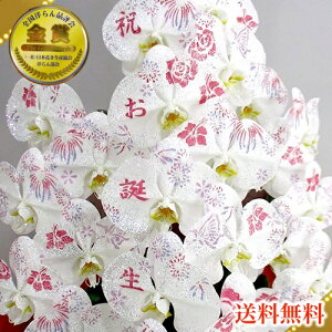 ϗ/ϗ3{/ϗ3{/ϗv`i(PVE)/X}Xe/@vH@Ε銔呍͂Ȃ₩