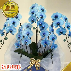 u[GKXӒ5{@ςӒ@u[Ӓ@Ӓ5{/JXj/җj/jEӒ 3{/Ӓ /jԁEJXjEjԁEԁEy