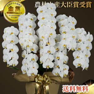 Ӓ8{EӒ(R`E)Ӓ8{/JXj/җj/jEӒ 8{/Ӓ /jԁEJXjEjԁEԁE yEӒzӒ 