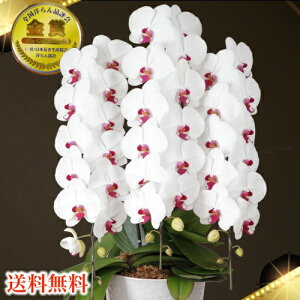 Ӓ3{39ց`(Q܂)3{/JXj/җj/jEӒ 3{/Ӓ /jԁEJXjEjԁEԁE yEӒzӒ jEj