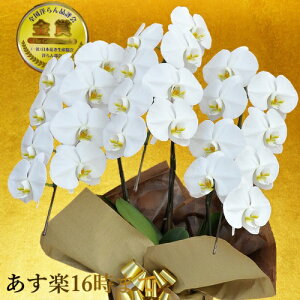 Ӓ3{EӒ(R`E)Ӓ3{/JXj/җj/jEӒ 3{/Ӓ /jԁEJXjEjԁEԁE yEӒzӒ 