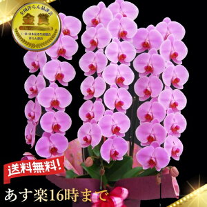 Ӓ3{39ց`(Q܂)3{/JXj/җj/jEӒ 3{/Ӓ /jԁEJXjEjԁEԁE yEӒzӒ jEj