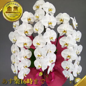 Ӓ3{EӒ(R`E)Ӓ3{/JXj/җj/jEӒ 3{/Ӓ /jԁEJXjEjԁEԁE yEӒzӒ 