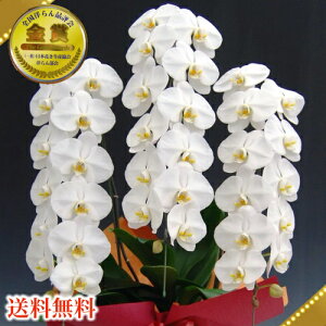 Ӓ3{39ց`(Q܂)3{/JXj/җj/jEӒ 3{/Ӓ /jԁEJXjEjԁEԁE yEӒzӒ jEj