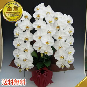 y4sszzӒ3{EӒ3{/JXj/җj/jEӒ 3{/Ӓ /jԁEJXjEjԁEԁE yEӒzӒ j