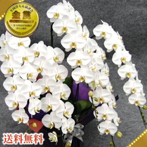 Ӓ5{EӒ(R`E)Ӓ5{yzӒ jEӒEJXjEEӒEӒ ցEӒ JXjyEӒzV|WE@NLO