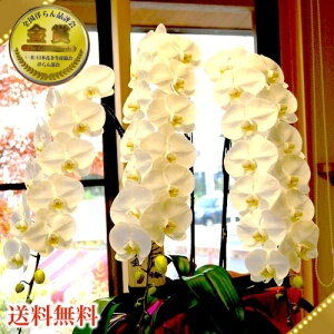 Ӓ3{EӒ(R`E)Ӓ3{/JXj/җj/jEӒ 3{/Ӓ /jԁEJXjEjԁEԁE yEӒzӒ 